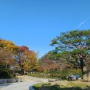 호반숲속 작은도서관 이미지