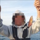 부영호 | 제주배낚시 부영호 형제섬2시간체험배낚시 후기