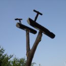 정목초교 이미지