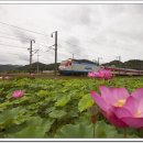 내일을향하여 이미지