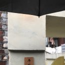 타코야만 이미지