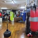 달서권투 이미지