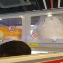 우와 뽑기방 이미지