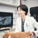 연산동물의료센터 이미지