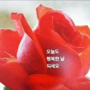 Giovanni Marradi ⑤ - Anne's Theme. Summer love. etc 12곡 이미지