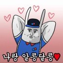 도기팩트 | 대구 준신축 아파트 33평 부분인테리어 준비하기 | 업체정하기, 공사범위, 턴키 or 셀인