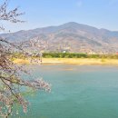 봉동산 Daum카페