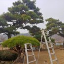 건달산로 이미지