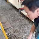 웅이민박 이미지