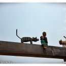 슬로시티삼지내마을 이미지