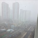 별비 모터스 Daum카페