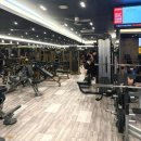 동원헬스 | 성남 빌드업피트니스 PT 야탑점 야탑PT 야탑헬스 1:1 PT 받은 솔직후기 !