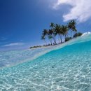 J휘트니스 이미지