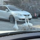 유정사우나 이미지