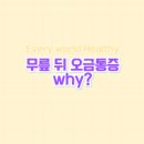 오금2로 이미지