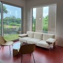 인더플럼 이미지