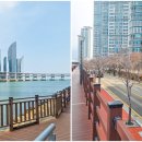 옐로우라이트하우스 이미지