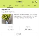 메인브릭스