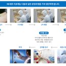 에스엠티 이미지