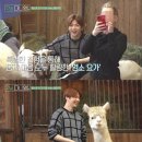 안녕 댕댕아 이미지