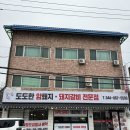 도도한암퇘지 이미지