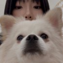 듀