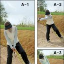 (주)중앙그린 이미지