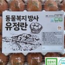 깨끗한농장 이미지