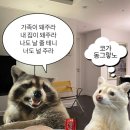 행복한돼지 - 동대문구 외대역동로16길 5 | 행복한돼지