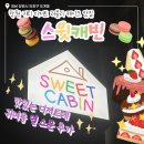 [개포1] 스윗디저트 | [창원카페/도계동] 창원 도리단길 키티디저트 카페 스윗캐빈 리뷰 (내돈내산, 주차정보)