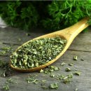 고수-코리안더-Cilantro 이미지