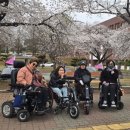 대구대학교 | “이 길이 이렇게 좋았다고?” 대구대학교 벚꽃 라이딩 후기 (부호역 코스 추천)