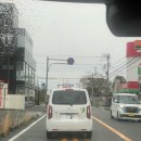 비소(조)-호-1 | 일본 시즈오카 #2 🇯🇵 | 가와구치호, 야마나카 호, 시즈오카 야키니쿠 킹, 시미즈항 어시장, 시미즈항...