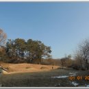 영응대군 묘 및 신도비 이미지