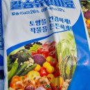 광성농장 이미지