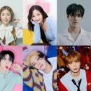 페스티발 이미지