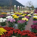 여락송정로 이미지