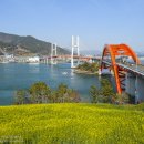 바다 그리고 이미지