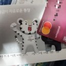 비바(VIVA)치과기공소 | 일본 교환학생 준비 : 비바G카드, 전화일본어, (자체건강감진2)치과