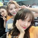 성소 카카오 검색결과