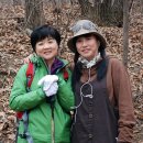 3월5일 하희연플라워 라이네쎄 산악회가 발족되어 첫산행을 청계산 서울대공원 자연휴양림으로 다녀왔습니다...(1) 이미지