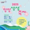 양양이 이미지