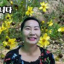 축복 이미지