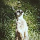 탑동물병원 이미지