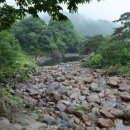 제80차 세종산과들 산악회 백무동계곡 (신선계곡) 6km왕복3시간 이미지