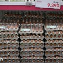 이명근 농장 이미지