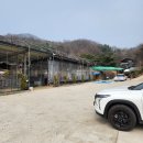 양주 닭볶음탕 맛집! 분위기에 취하는 칠봉산레저타운 솔직후기!