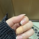 농사피엔스네일