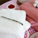 반려견을 위한 콘서트 (코로나19로 인한 2020년 행사 취소) | 서울리빙디자인페어 사건의 전말