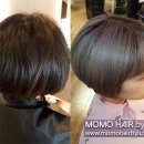 헤어퍼플 이미지